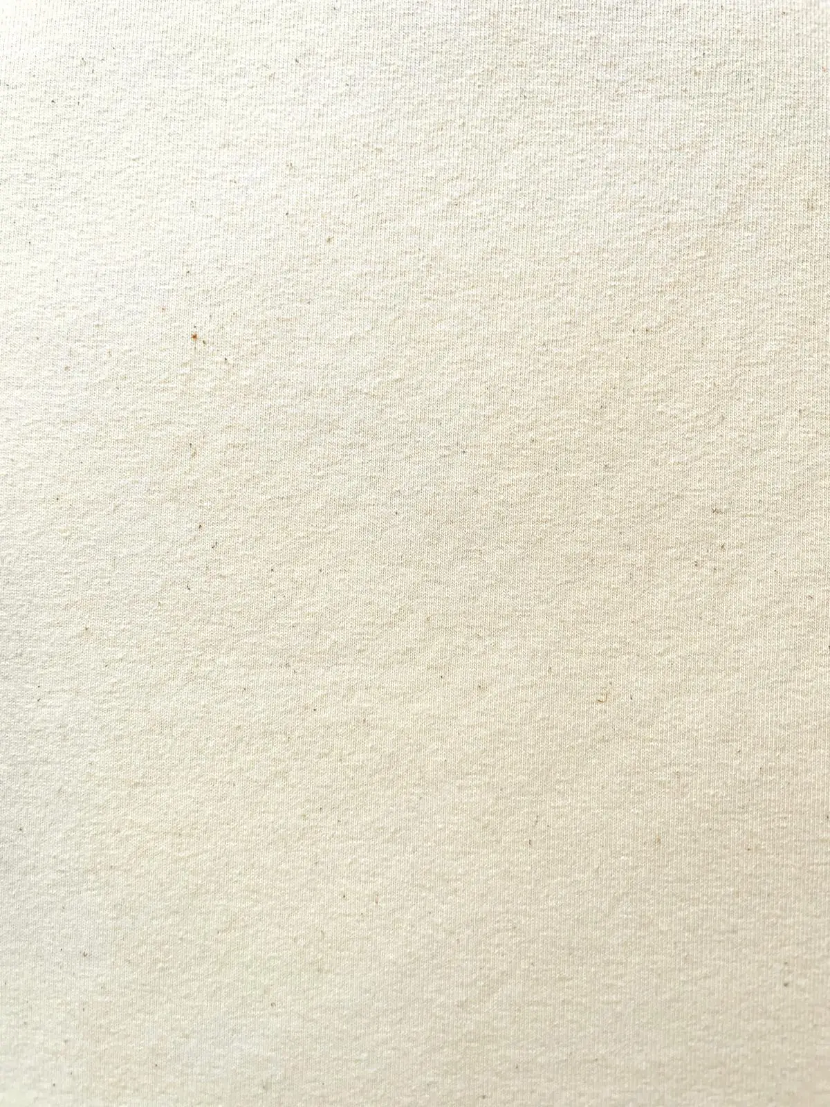 Baumwolljersey – Natur(unbehandelt) uni Creme