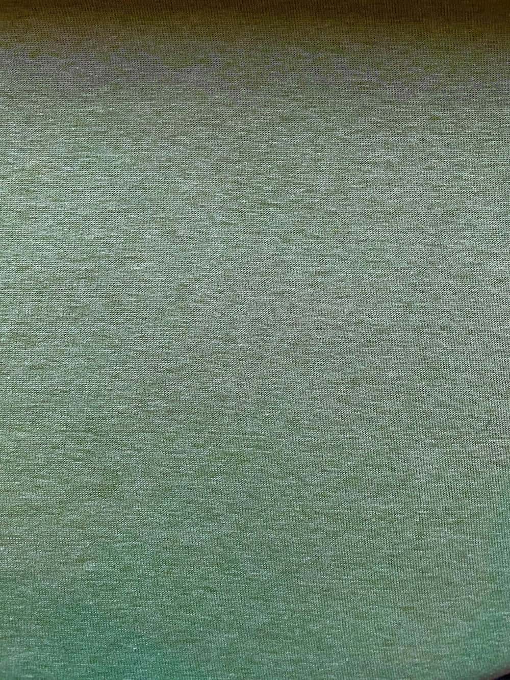 Nahaufnahme eines Alpenfleece-Stoffes in der Farbe Salbeigrün mit feiner Melange-Optik. Die weiche, glatte Oberseite des dehnbaren Sweat-Stoffes zeigt eine dezente Farbmischung aus verschiedenen Grüntönen.