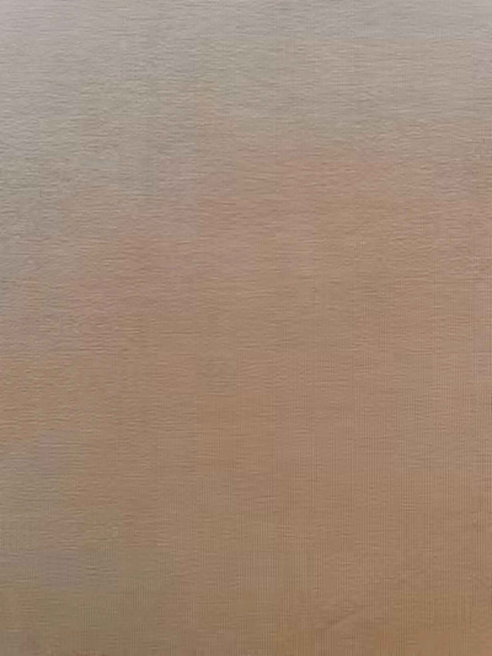 Baumwolljersey uni Beige Baumwolljersey uni Beige