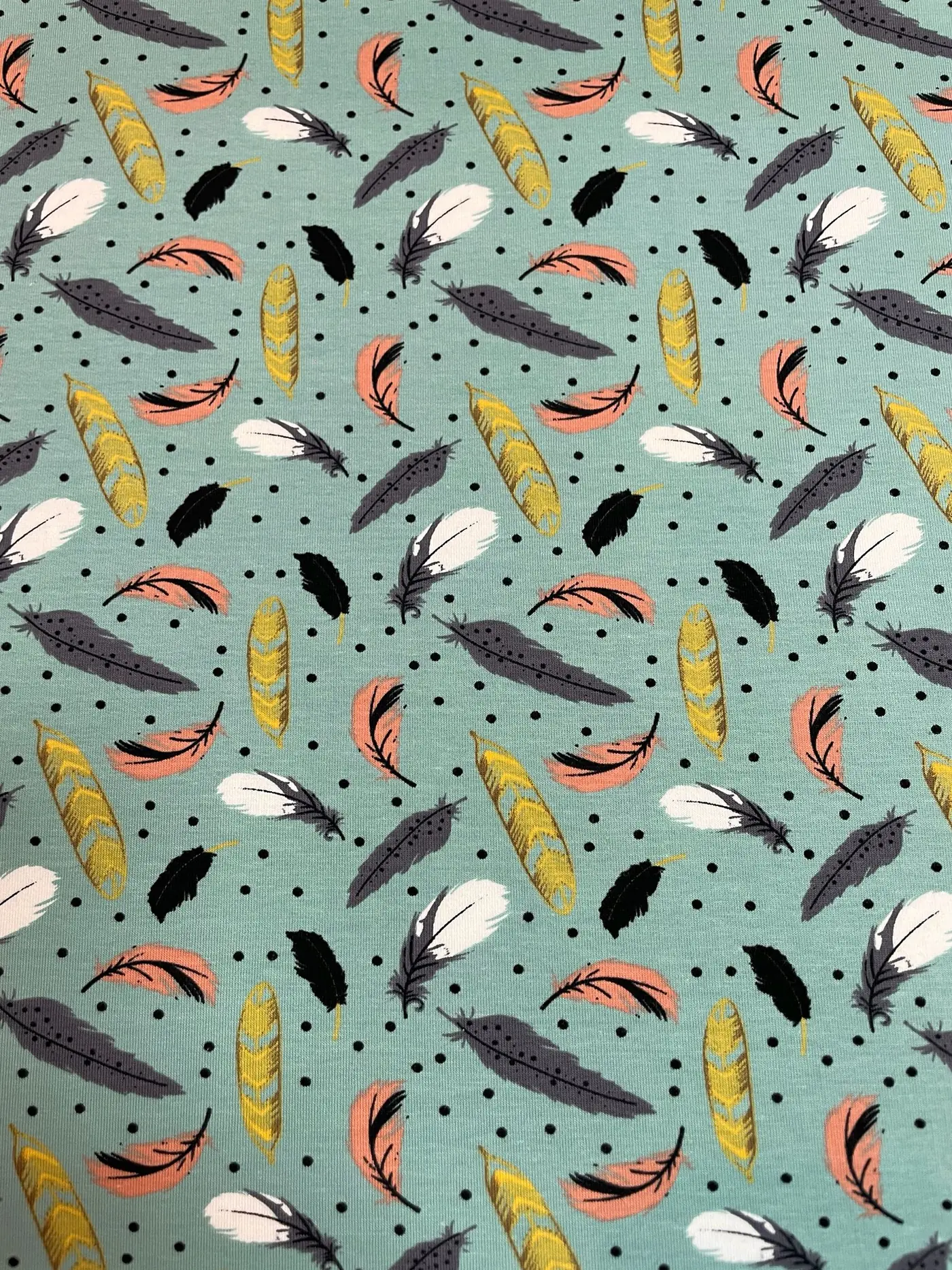 Heller mintgrüner Jersey-Stoff mit einem verspielten Muster aus bunten Federn in Senfgelb, Altrosa, Weiß und Schwarz. Ergänzt wird das Design durch kleine schwarze Pünktchen im Hintergrund, ideal für Baby- und Kinderkleidung im Boho-Stil.