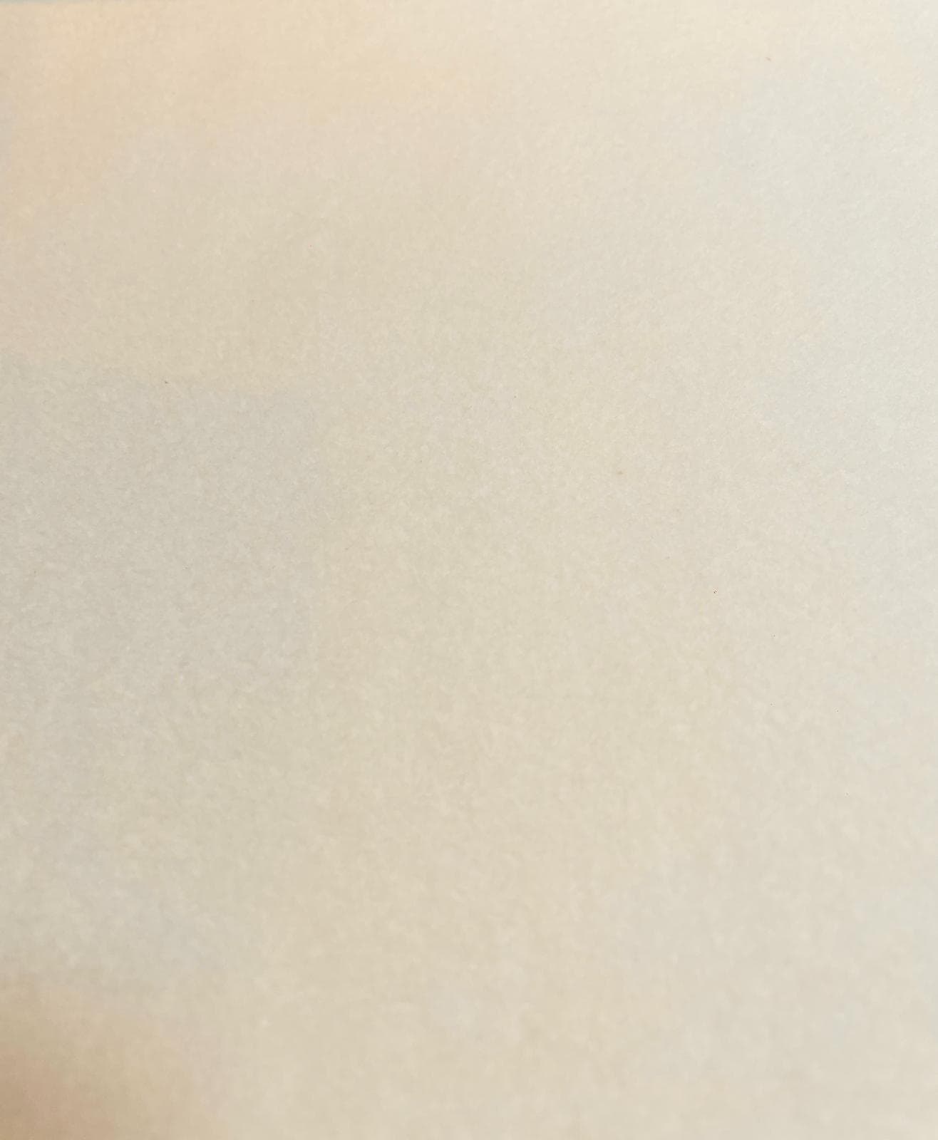 Nahaufnahme eines weichen Baumwoll-Fleecestoffes in der Farbe Natur/Creme mit flauschiger Oberflächenstruktur.