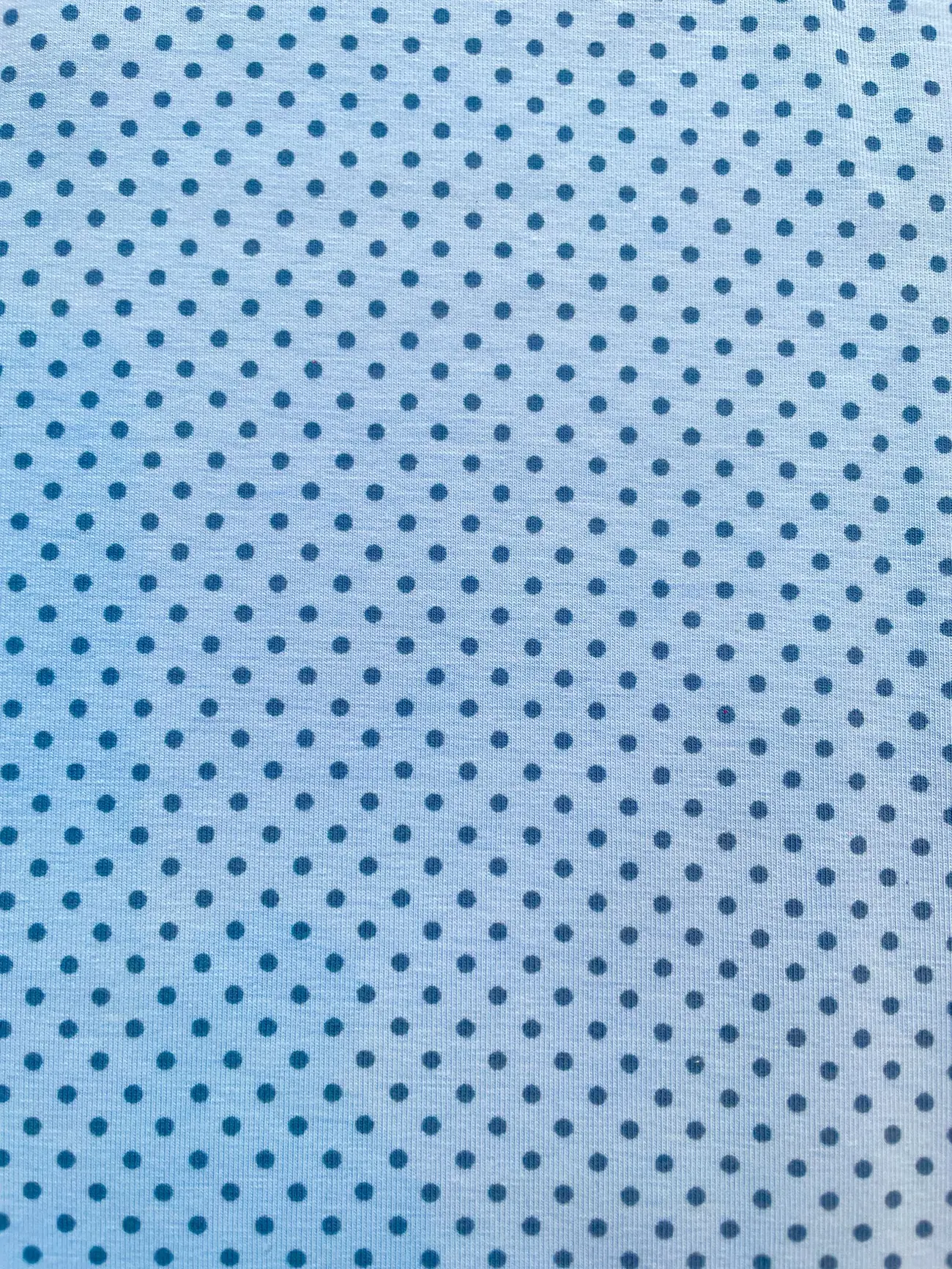 Baumwolljersey "Blue Sky Dots" hellblau mit Punkten Baumwolljersey "Blue Sky Dots" hellblau mit Punkten