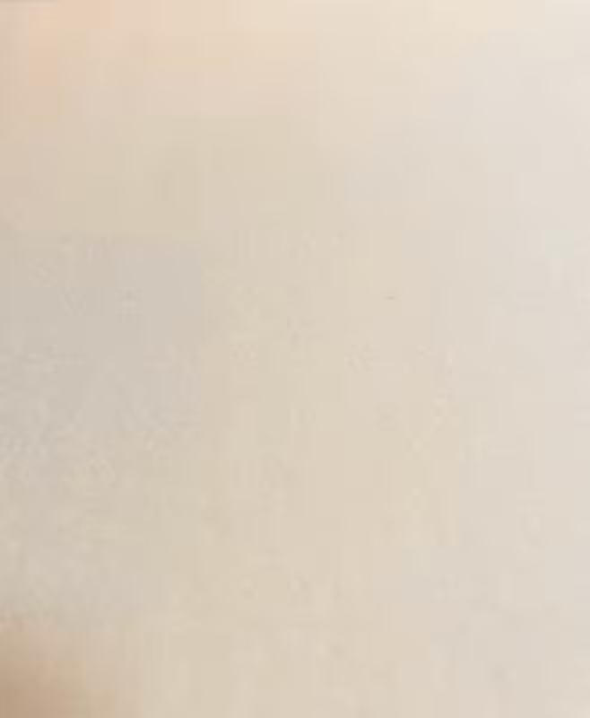 Fleecestoff cremefarben uni Fleecestoff cremefarben uni