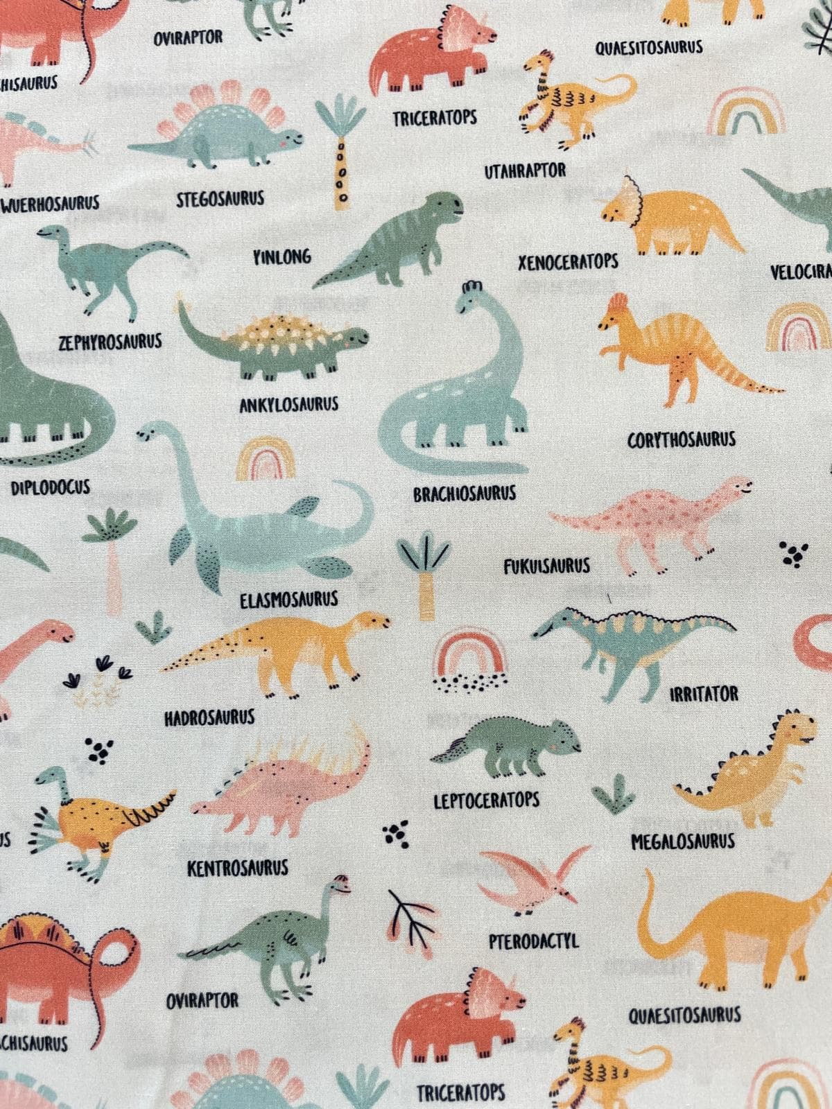 Fester weißer Baumwollstoff bedruckt mit verschiedenen Dinosauriern wie Triceratops und Brachiosaurus sowie deren Namen in schwarzen Buchstaben.